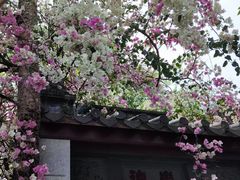 -深圳国际园林花卉博览园