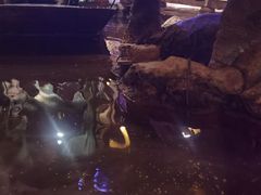 -淀里船宴(卓达店)