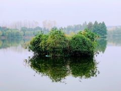 -浙江农林大学(东湖校区)