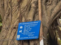 -北部湾广场