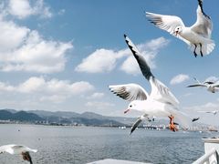 -海埂大坝