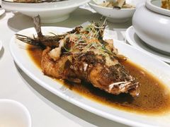 -蝶园·装修中(BFC外滩金融中心店)