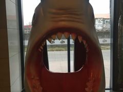 -天幕新彩云国际影城(激光巨幕店)