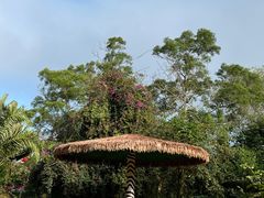 -海南热带野生动植物园