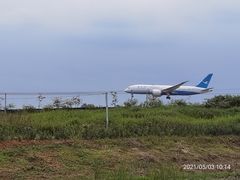 -空港花田景区