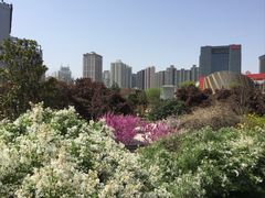 -西安创业咖啡街区