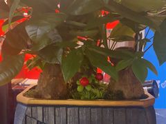 -青螺餐厅·家宴(松雅湖店)