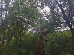 -木兰云雾山