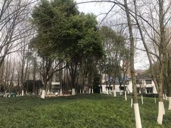 -后襄河公园