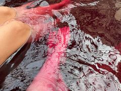 -春晖园度假酒店温泉