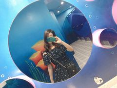 -青岛嘉年华主题乐园