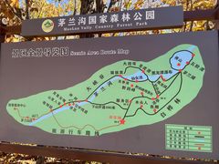 -茅兰沟国家森林公园