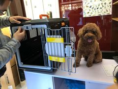 -纳吉亚猫专科动物医院博雅分院