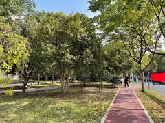 -浙江农林大学(东湖校区)
