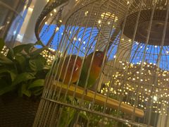 -天府中餐厅·粤菜·海南菜·生猛海鲜(三亚海棠湾洲际度假酒店)