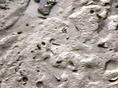 -北海金海湾红树林生态旅游区