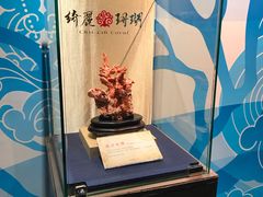 -绮丽珊瑚(台北101旗舰门市店)