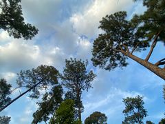 -火炉山森林公园