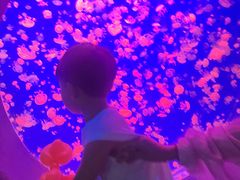 -江和美海洋公园