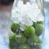 青梅酒