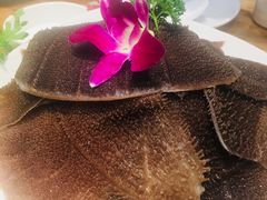 -草原塞蛮羊火锅城(港湾店)