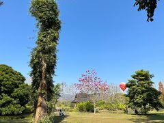 -中国科学院西双版纳热带植物园