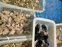 -小时候焗海鲜(鄞州万达店)