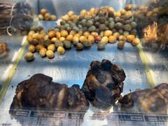 -一手店(五道口店)