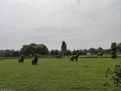 -夏河溪乡野公园