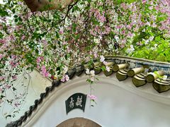 -深圳国际园林花卉博览园