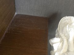 -上海外滩茂悦大酒店