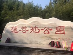 -莲花池公园