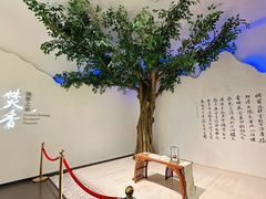 -香市公园-中国沉香文化博物馆