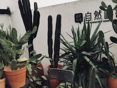 -南山植物园