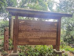 -青城山