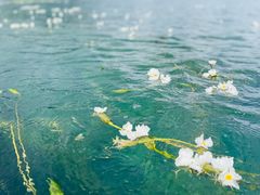 -丽江泸沽湖景区