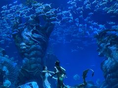 -波塞冬海底世界