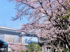 -南浦大桥长途旅游客运站