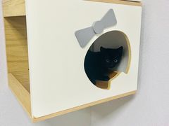 -联合动物医院(光谷诊疗中心)