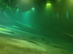 -白鹤梁水下博物馆