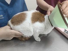 -爱诺耐芙动物医院(万博店)