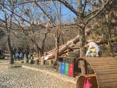 -北京西山国家森林公园