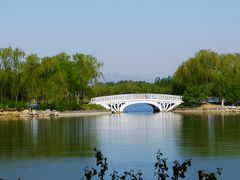 -大兴滨河森林公园