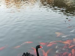 -春晖园度假酒店温泉