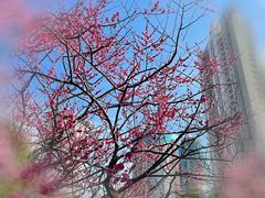 -静安雕塑公园