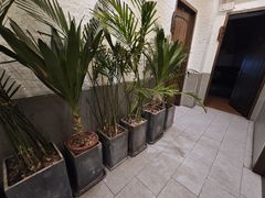 -蝦塘·中国餐馆(城墙南马道巷店)