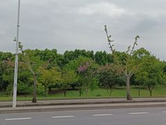 -上海佘山国家森林公园西佘山园