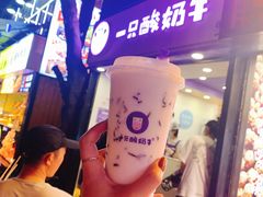 -一只酸奶牛(八一路店)