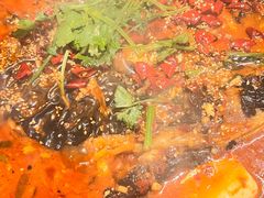 -重庆鸡公煲·青锅花椒鱼(牡丹江路店)