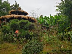 -东湖落雁景区